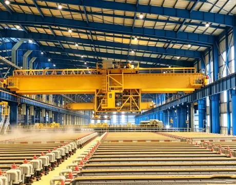 Multifunctional Crane for Electrolytic Copper